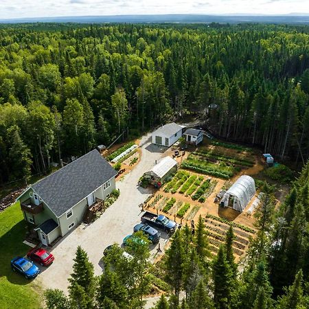 Upper Humber Settlement A Farmstay B&B Cormack Exterior foto